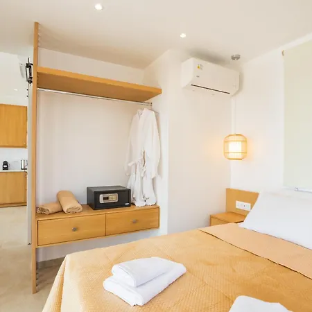 فيلة Anemone Beachfront Private Pool - Karpathos أركاسا